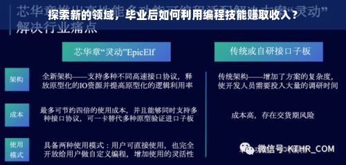 探索新的领域，毕业后如何利用编程技能赚取收入？
