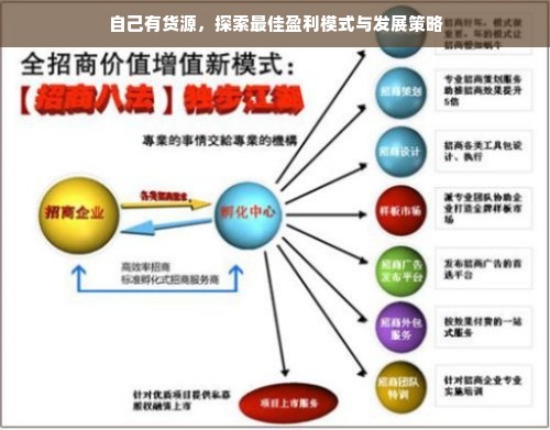 自己有货源，探索最佳盈利模式与发展策略