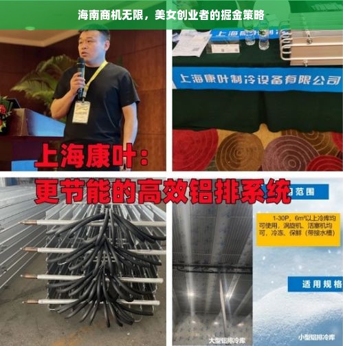 海南商机无限，美女创业者的掘金策略