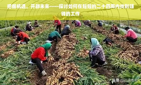 家电品牌包包收纳秘籍，打造整洁家居新风尚