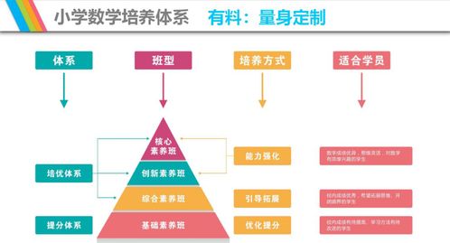 家电品牌包包收纳秘籍，打造整洁家居新风尚
