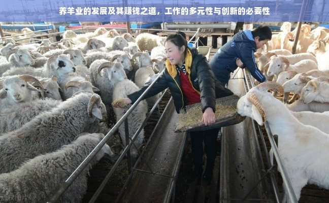 探索水性户外木器漆的多样性与选择指南