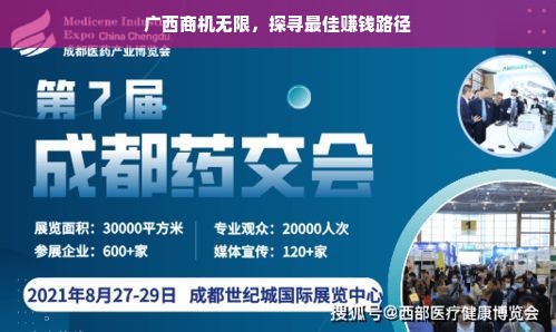 广西商机无限，探寻最佳赚钱路径
