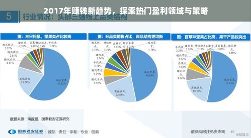 2017年赚钱新趋势，探索热门盈利领域与策略