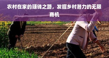 农村在家的赚钱之路，发掘乡村潜力的无限商机