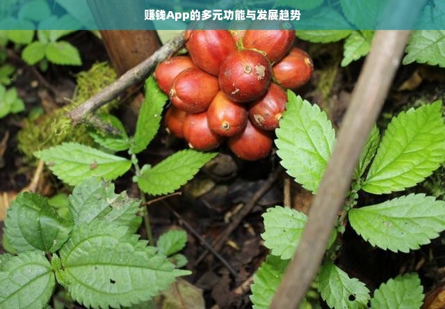 盘点中国白酒品牌中的老字号，那些历久弥新的经典之作