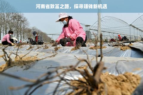 母婴车品牌深度解析，从需求到选择的全方位解读