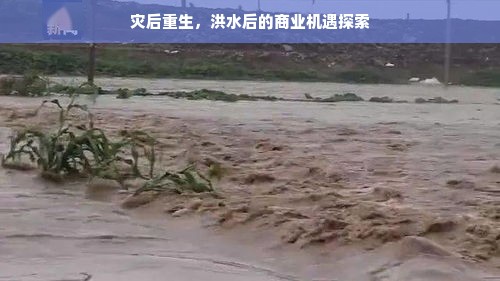 灾后重生，洪水后的商业机遇探索