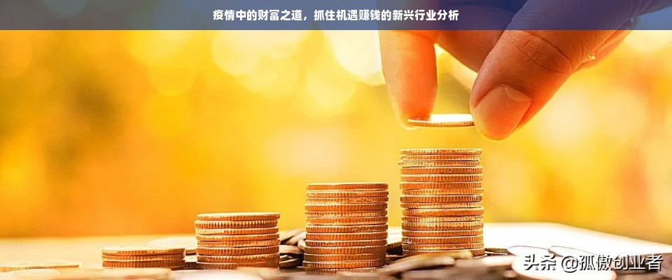 疫情中的财富之道，抓住机遇赚钱的新兴行业分析
