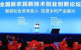 新农民的创新路径，探讨农村创业生意赚钱的多样机会