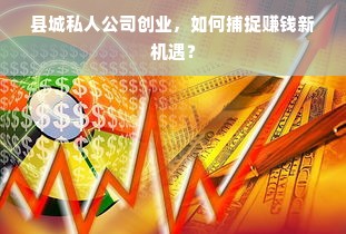 县城私人公司创业，如何捕捉赚钱新机遇？