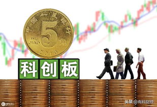 中高端母婴服装品牌，品质与爱的双重保障