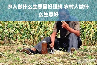 农人做什么生意最好赚钱 农村人做什么生意好