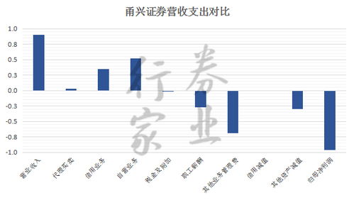 母婴品企业品牌故事，从初心到辉煌的旅程