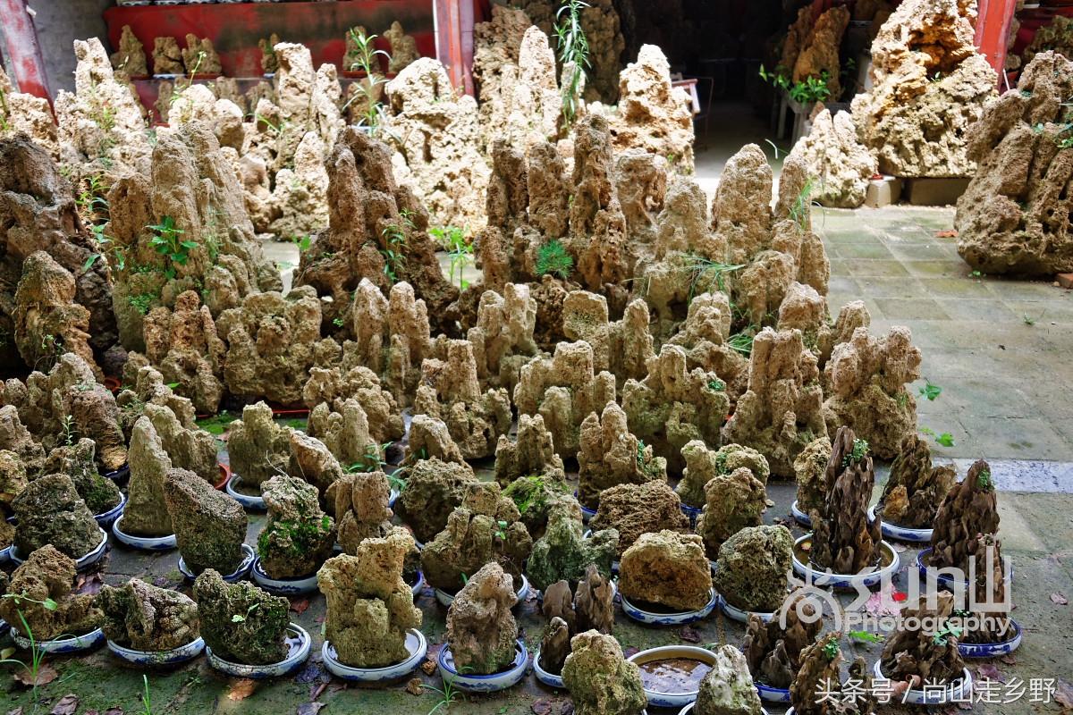 鹿优选先享卡额度提现攻略，了解使用门槛，轻松享受优惠！