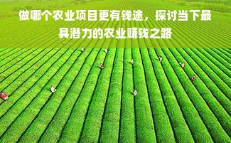 冰箱品牌清单大全图解，带你走进各大品牌的冰凉世界