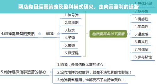 网店类目运营策略及盈利模式研究，走向高盈利的道路