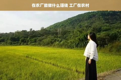 北京京东白条取现指南