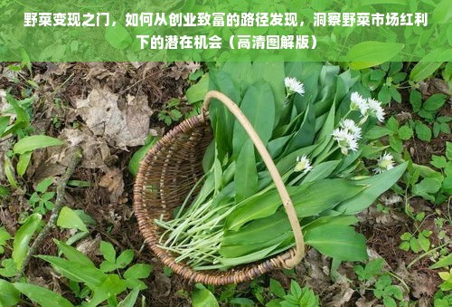 茶香与足尖共舞，XX品牌夏凉鞋如何用茶叶元素征服女性市场？