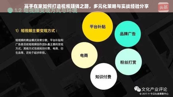 高手在家如何打造视频赚钱之路，多元化策略与实战经验分享