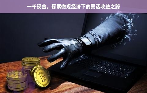 一千现金，探索微观经济下的灵活收益之路
