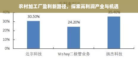农村加工厂盈利新路径，探索高利润产业与机遇