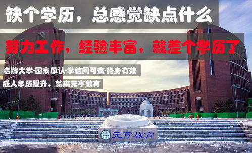 瑞丽，探索赚钱快的职业道路