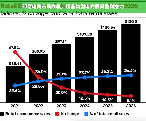 印尼电商市场商机，哪些类型电商最具盈利潜力