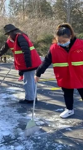 揭秘京东白条额度的妙用与消失之谜