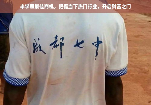 半学期最佳商机，把握当下热门行业，开启财富之门