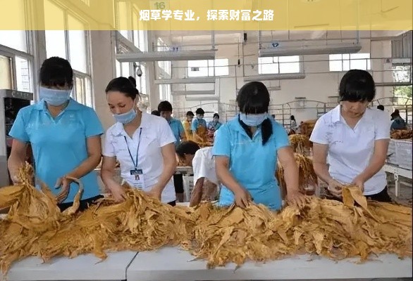 烟草学专业，探索财富之路