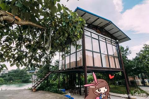 微信分付额度提现与金币获取攻略