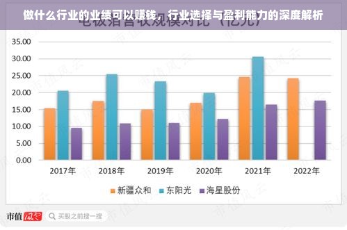 做什么行业的业绩可以赚钱，行业选择与盈利能力的深度解析