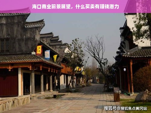 海口商业前景展望，什么买卖有赚钱潜力