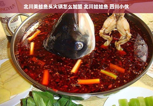 京东自营小冰箱，夏日清凉好伴侣，品质生活新选择！