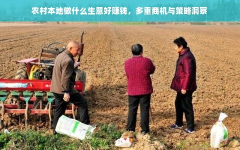 农村本地做什么生意好赚钱，多重商机与策略洞察