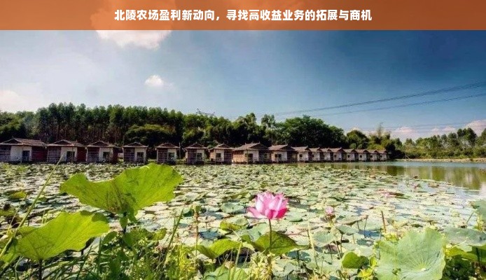 全国连锁餐饮品牌，繁荣背后的故事与洞察