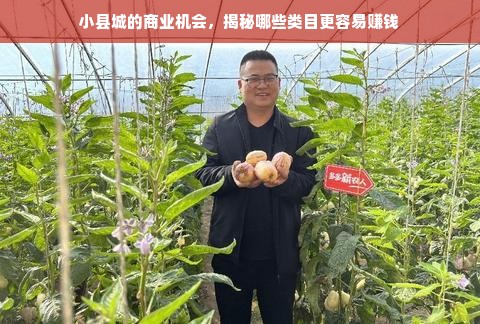 小县城的商业机会，揭秘哪些类目更容易赚钱