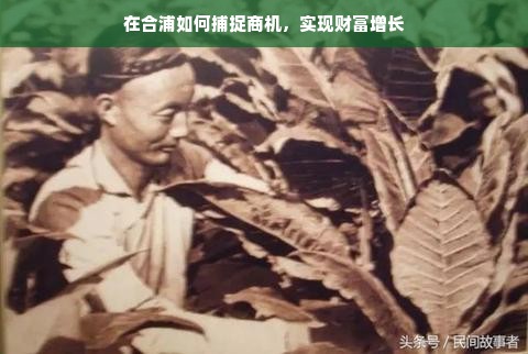 加盟干洗店？选对口碑好品牌，轻松开启财富之路！