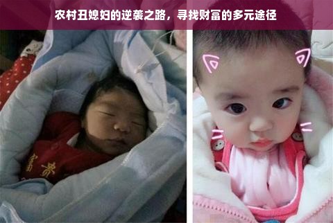 中高端家电品牌推荐，品质生活的优选之选