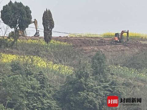 抖音月付额度提现攻略，商家如何轻松找到并提现月付收入？