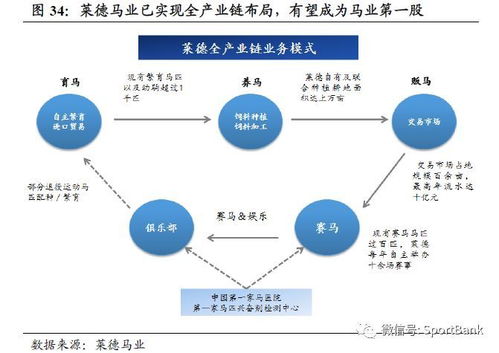 弹琴的人多元职业路径探索，以音乐为媒介实现经济自由