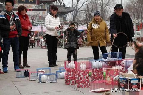 揭秘套圈产业盈利内幕，怎样迅速赚钱的创新途径探索