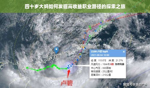 母婴品牌加盟排行榜，热门选择一览