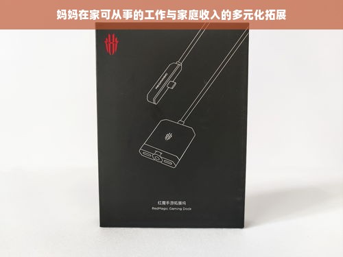 妈妈在家可从事的工作与家庭收入的多元化拓展