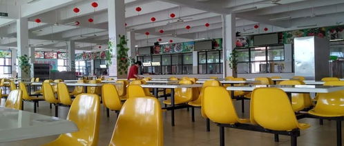 丽水早教中心加盟招商，共创美好未来教育新篇章