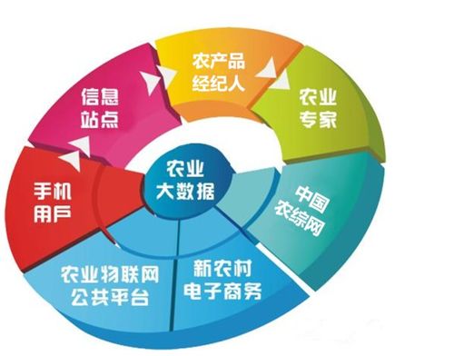 揭秘柜体板材选择，哪个品牌更胜一筹？