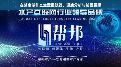 揭秘柜体板材选择，哪个品牌更胜一筹？
