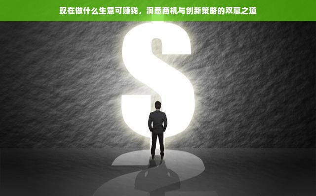 现在做什么生意可赚钱，洞悉商机与创新策略的双赢之道