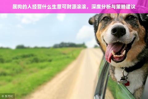 属狗的人经营什么生意可财源滚滚，深度分析与策略建议